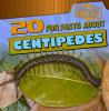 20_fun_facts_about_centipedes
