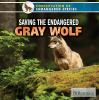 Saving_the_endangered_gray_wolf