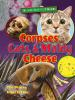 Corpses__cats____moldy_cheese