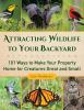 Attracting_wildlife_to_your_backyard