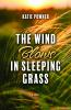 The_wind_blows_in_sleeping_grass