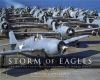 Storm_of_eagles