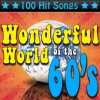 The_Wonderful_World_of_the_60_s_-_100_Hit_Songs