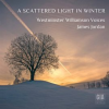 A_Scattered_Light_In_Winter