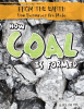 How_Coal_Is_Formed