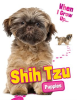 Shih_Tzu_Puppies