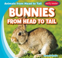 Bunnies_from_Head_to_Tail