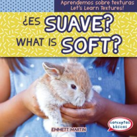 __Es_suave____What_Is_Soft_