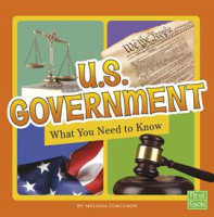 U_S__Government