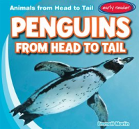 Penguins_from_Head_to_Tail